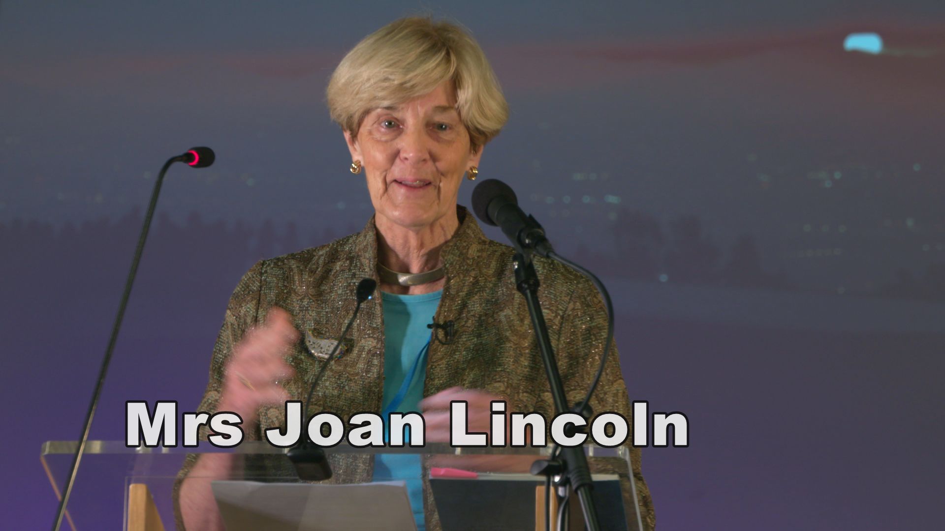 Speaking truth to power Mrs Lincoln